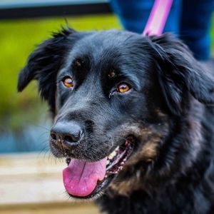 Meet your Posher, Stacey